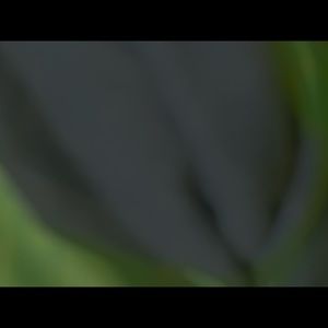 Meet your Posher, Oscar